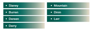 List of riviers, Slaney, Burren, Dereen, Derry, Mountain, Dinin, Lerr