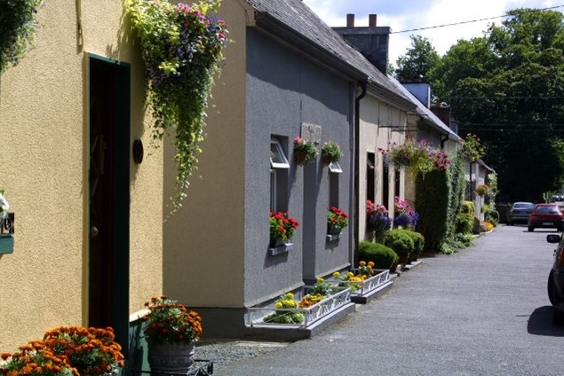Image of a row of street houses with flowers