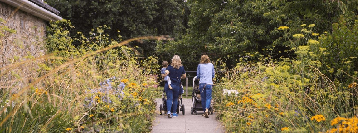Two women pushing buggy in park