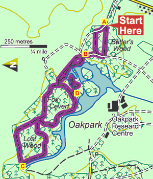 Illustration of map of Oak Forest Park