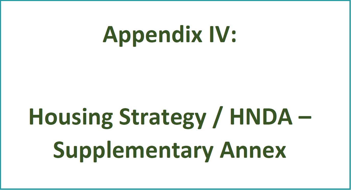 Housing Strategy - Supplementary Annex
